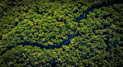 EU-Entwaldungsverordnung EUDR und Schutz von Wäldern und Lieferketten Straße durch einen Wald in Rumänien als Symbol für Entwaldung und die EU-Verordnung EUDR zum Schutz von Wäldern